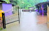 Rain continues in pockets of DK, Udupi and state